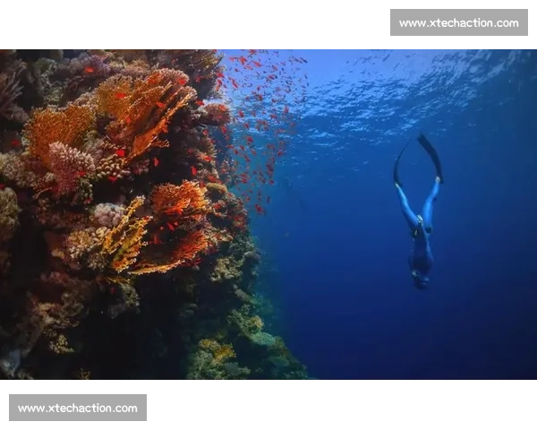 先锋撞塔策略解析与实战技巧全面指南探索新玩法与战术布局